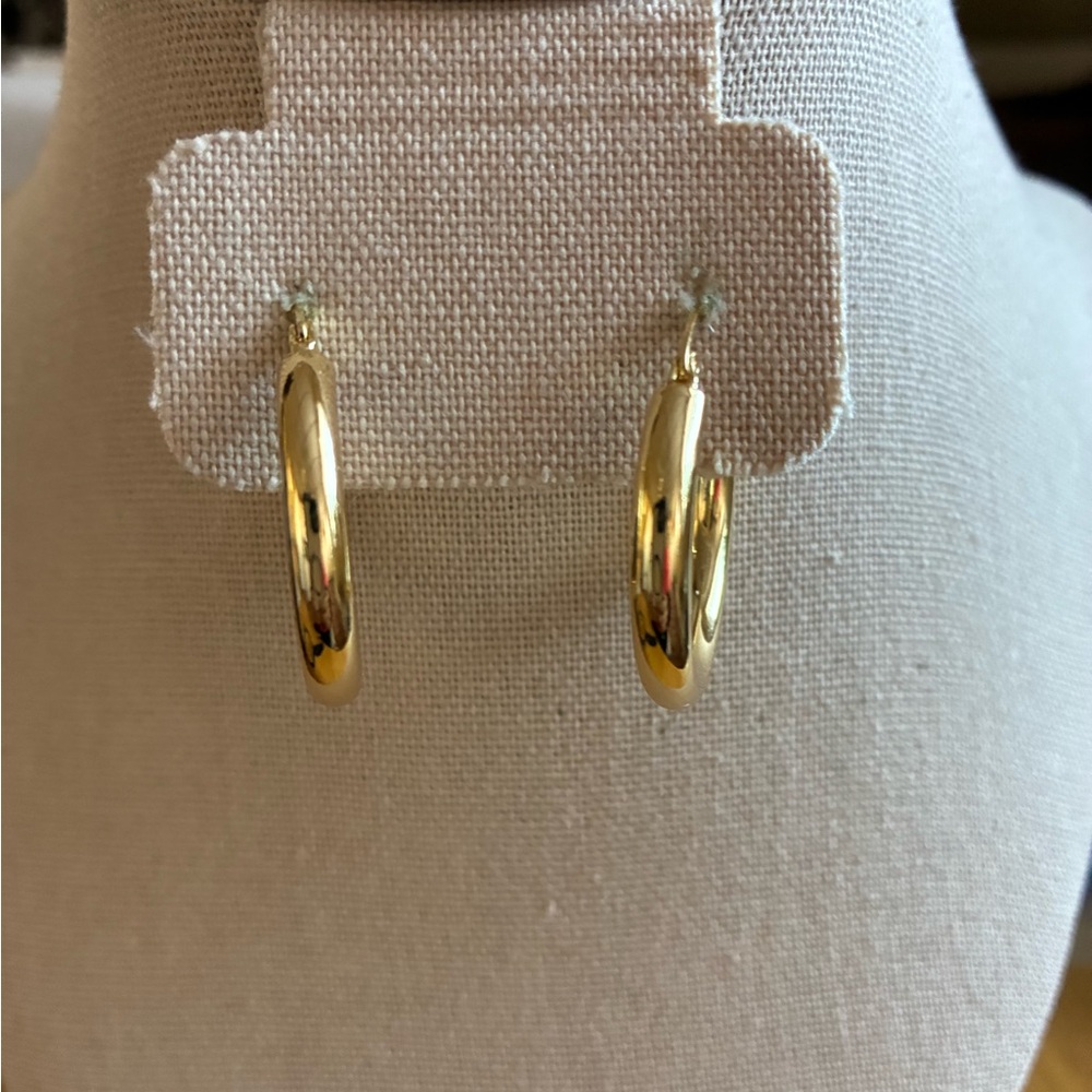Polished Gold Mini Hoop Earrings for Women